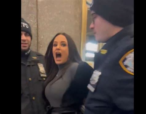 why was lisa ann arrested